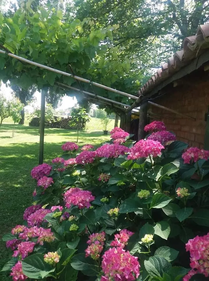 B&B Il Naviglio Bastiglia